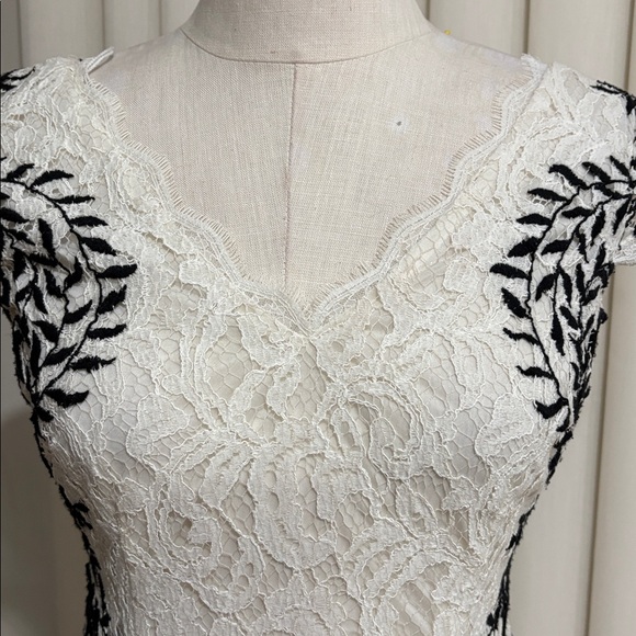 Adrianna Papell White Lace black embroidered sides Midi sheath Dress  V neck 6 - Picture 3 of 16